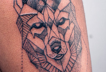 Wolf
