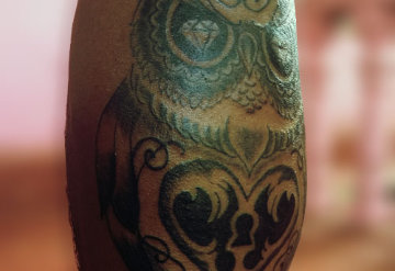 Sitting Owl