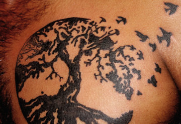 Tree Birds