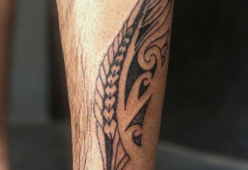 Bird Wing