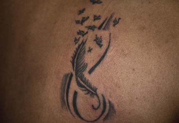 Feather Birds