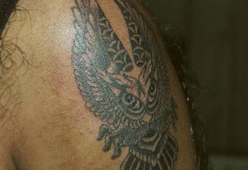 Flying Owl